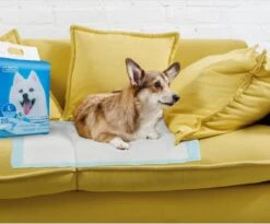 Nobleza 48LXE - Puppy Training Pads - 60 X 90 Cm - Zindelijkheidstraining - 120 Stuks -Hondenserie Winkel 1200x997 4