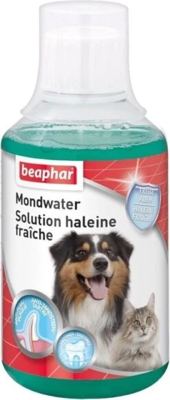 Beaphar Mondwater - 250 Ml 12 Beaphar Mondwater - 250 Ml -Hondenserie Winkel 509x1200 3