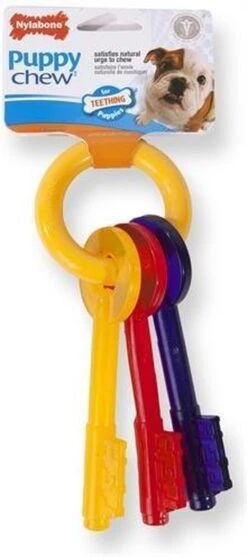 Nylabone Puppy Teething Key Flexible Geel&Blauw&Rood - Hondenspeelgoed - Wolf Tot 16kg -Hondenserie Winkel 532x1200