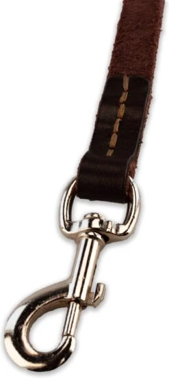 Multifunctionele Hondenriem - 220cm - Bruin - Leren Hondenriem - 100% Volnerfleer - Hondenriem Leer - Leiband Hond -Hondenserie Winkel 536x1200 2