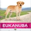 Eukanuba Dog Labrador Retriever - 12 KG 2 Eukanuba Dog Labrador Retriever - 12 KG -Hondenserie Winkel 589x1200
