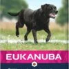 Eukanuba Dog Mature & Senior - Large Breed - Kip - Hondenvoer - 15 Kg 2 Eukanuba Dog Mature & Senior - Large Breed - Kip - Hondenvoer - 15 Kg -Hondenserie Winkel 607x1200