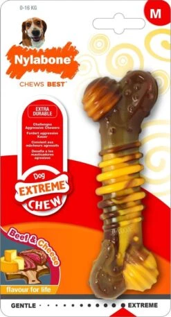 Nylabone Extreme Kauwbot Textuur Met Rund- En Kaassmaak -Hondenserie Winkel 649x1200