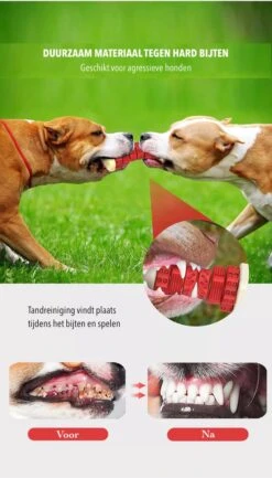 3-in-1 Hondenkauwbot - Gebitsverzorging - IQ Training - Voedsel Afgifte Functie - Geometrisch Ontwerp - Duurzaam & Milieuvriendelijk - Kauwbot - Honden - Hondenbot - Rood 13 3-in-1 Hondenkauwbot - Gebitsverzorging - IQ Training - Voedsel Afgifte Functie - Geometrisch Ontwerp - Duurzaam & Milieuvriendelijk - Kauwbot - Honden - Hondenbot - Rood -Hondenserie Winkel 684x1200