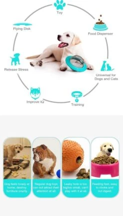 Merkloos Hondenspeeltje UFO Blauw Geschikt Voor Puppy's Tot En Met Grote Honden - Honden Speelgoed - Anti Bijt Speelgoed - Voerbal - Honden Speelgoed Intelligentie - Bijtspeelgoed - Interactieve Hond - Hondenspeeltjes - Traingsbal - Sterk Materiaal - Blauw 21 Merkloos Hondenspeeltje UFO Blauw Geschikt Voor Puppy's Tot En Met Grote Honden - Honden Speelgoed - Anti Bijt Speelgoed - Voerbal - Honden Speelgoed Intelligentie - Bijtspeelgoed - Interactieve Hond - Hondenspeeltjes - Traingsbal - Sterk Materiaal - Blauw -Hondenserie Winkel 687x1200 1