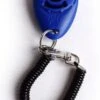 Merkloos Petshop ACE – Clicker – Hond – Training – Honden Training – Met Bevestiging - Blauw 1 Merkloos Petshop ACE – Clicker – Hond – Training – Honden Training – Met Bevestiging - Blauw -Hondenserie Winkel 704x1200