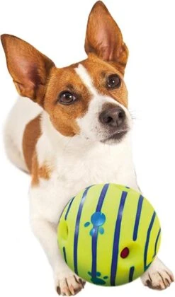 Wobble Wag Giggle Bal+ Honden Touw (30cm)- Honden Bal - Honden Speeltjes - Honden Speelgoed Intelligentie -Hondenserie Winkel 705x1200