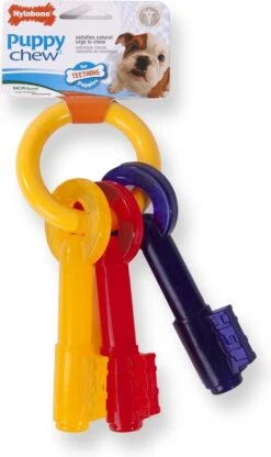 Nylabone Puppy Teething Key Flexible Geel&Blauw&Rood - Hondenspeelgoed - Wolf Tot 16kg -Hondenserie Winkel 713x1200 1