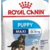 Royal Canin Maxi Puppy 4 KG 1 Royal Canin Maxi Puppy 4 KG -Hondenserie Winkel 713x1200