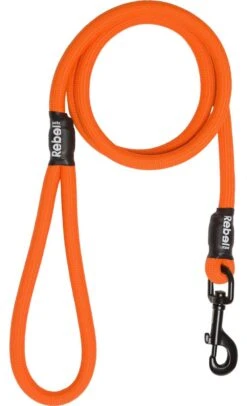 Rebel Petz - Sterke Gevlochten Hondenlijn Van Touw - Kleur: Oranje, Maat: Large 30 Rebel Petz - Sterke Gevlochten Hondenlijn Van Touw - Kleur: Oranje, Maat: Large -Hondenserie Winkel 730x1200 1