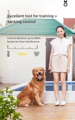 Anti Blafband EN Trainingshalsband In 1 - UNIEK SYSTEEM - 1000m Bereik - 100 Levels - Trainingsband - Antiblafband - Teletac - Geluid En Vibratie/trilling - Grote En Kleine Honden - Volledig Waterdicht - Anti Blafband 19 Anti Blafband EN Trainingshalsband In 1 - UNIEK SYSTEEM - 1000m Bereik - 100 Levels - Trainingsband - Antiblafband - Teletac - Geluid En Vibratie/trilling - Grote En Kleine Honden - Volledig Waterdicht - Anti Blafband -Hondenserie Winkel 744x1200