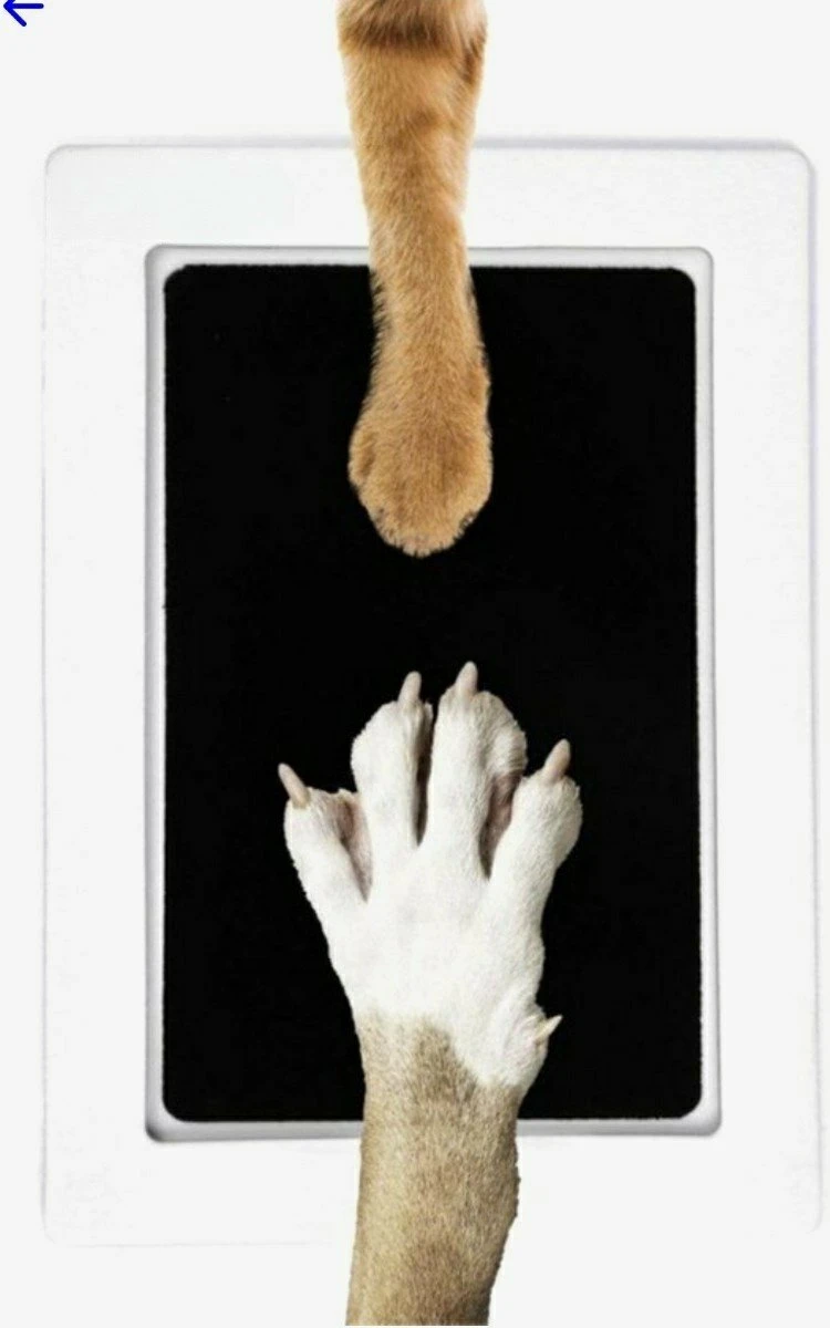 PrintMe - Paw Print Pad - Groter Formaat - Pootafdruk Maken Van Hond Of Kat - Zeer Gemakkelijk - Verbeterd Formaat! - Geen Inkt Op De Poot Van Uw Huisdier- Groot - Leuk Als Cadeau! 3 PrintMe - Paw Print Pad - Groter Formaat - Pootafdruk Maken Van Hond Of Kat - Zeer Gemakkelijk - Verbeterd Formaat! - Geen Inkt Op De Poot Van Uw Huisdier- Groot - Leuk Als Cadeau!