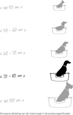 Hondenmand Zacht En Stevig, Anti-Slip En Wasbaar - Scruffs Chester Box Bed - In Grijs En Bruin In Maat S Tot XL - Kleur: Grijs, Maat: Extra Large 41 Hondenmand Zacht En Stevig, Anti-Slip En Wasbaar - Scruffs Chester Box Bed - In Grijs En Bruin In Maat S Tot XL - Kleur: Grijs, Maat: Extra Large -Hondenserie Winkel 767x1200 3