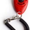 Merkloos Petshop ACE – Clicker – Hond – Training – Honden Training – Met Bevestiging - Rood 1 Merkloos Petshop ACE – Clicker – Hond – Training – Honden Training – Met Bevestiging - Rood -Hondenserie Winkel 779x1200 2