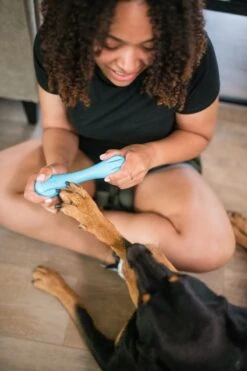 West Paw Zogoflex Hurley - Super Sterk Kauwbot Voor Honden - Kleur: Blauw, Maat: Large -Hondenserie Winkel 800x1200 21