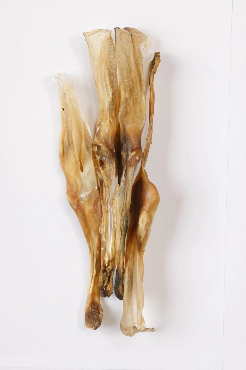 Konijn Oor Konijnoren 1kg Van De Snackmeester 100% Natuurlijk Natural Naturel 3 Konijn Oor Konijnoren 1kg Van De Snackmeester 100% Natuurlijk Natural Naturel