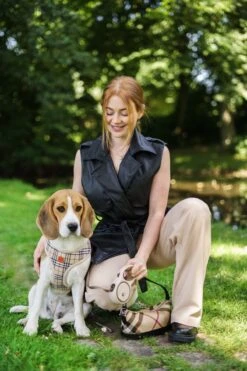 Hondenriem - Leiband Hond - Rollijn - 5 Meter - Beige - Riem Met Oprolsysteem - Hondenriem Flexi - Hondenlijn - Uitlaatriem 16 Hondenriem - Leiband Hond - Rollijn - 5 Meter - Beige - Riem Met Oprolsysteem - Hondenriem Flexi - Hondenlijn - Uitlaatriem -Hondenserie Winkel 800x1200 34