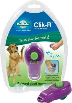 Petsafe Clicker Voor Training 7 Petsafe Clicker Voor Training -Hondenserie Winkel 846x1200 1