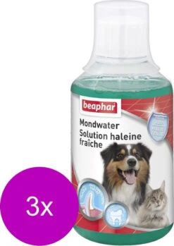 Beaphar Mondwater Hond/Kat - Gebitsverzorging - 3 X 250 Ml 8 Beaphar Mondwater Hond/Kat - Gebitsverzorging - 3 X 250 Ml -Hondenserie Winkel 850x1200 4