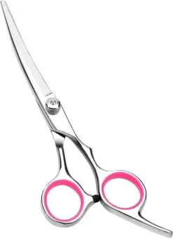 Professor Q - Hondenschaar Krom - Krommende Hondenschaar Rechts - Professionele Hondenschaar -Hondenserie Winkel 875x1200 2