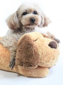Knuffel Met Hartslag 2023 Voor Puppy's - Zacht Speelgoed - Hondenknuffel Met Hartslag - Wonderknuffel Snuggle Puppy - Knuffel Hond 16 Knuffel Met Hartslag 2023 Voor Puppy's - Zacht Speelgoed - Hondenknuffel Met Hartslag - Wonderknuffel Snuggle Puppy - Knuffel Hond -Hondenserie Winkel 888x1200 1