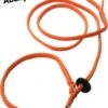 Abany Quality Design 1.80 Mtr Oranje - Jachtlijn - Dubbele Stop - Retrieverlijn - Gentle Leader - Lijn Leiband Met Halsband - Sliplijn Met Stop – Half Slip - Puppylijn - Vanglijn - Mantrailing - - 1R19019