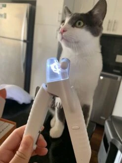 SunnyPets - Professionele Dieren Nagelknipper - Wit - Met LED En Vijl - Hond - Kat - Geschikt Voor Alle - Nageltang 13 SunnyPets - Professionele Dieren Nagelknipper - Wit - Met LED En Vijl - Hond - Kat - Geschikt Voor Alle - Nageltang -Hondenserie Winkel 899x1200 10