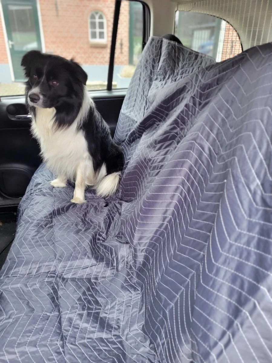 Luxe Hondendeken 200 X 150 Cm Auto Achterbank Kofferbak Vuilafstotend & Beschermend 4 Luxe Hondendeken 200 X 150 Cm Auto Achterbank Kofferbak Vuilafstotend & Beschermend - Afbeelding 2