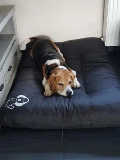 Hondenkussen XXXL -Donkergrijs - 85 X 120 X 14 15 Hondenkussen XXXL -Donkergrijs - 85 X 120 X 14 -Hondenserie Winkel 900x1200 1