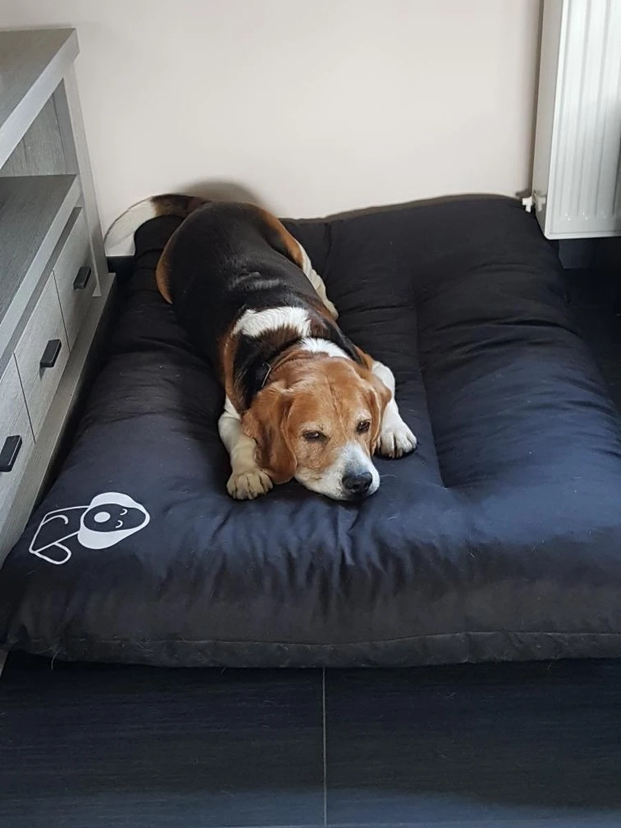 Hondenkussen XXXL -Donkergrijs - 85 X 120 X 14 8 Hondenkussen XXXL -Donkergrijs - 85 X 120 X 14 - Afbeelding 6