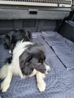 Luxe Hondendeken 200 X 150 Cm Auto Achterbank Kofferbak Vuilafstotend & Beschermend 8 Luxe Hondendeken 200 X 150 Cm Auto Achterbank Kofferbak Vuilafstotend & Beschermend -Hondenserie Winkel 900x1200 10