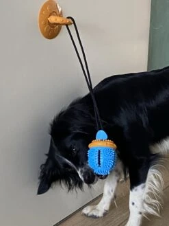 Merkloos Speelbal -Hondenspeelgoed Interactief - Hondenspeeltjes - Kauwspeelgoed Hond - 45 Cm 13 Merkloos Speelbal -Hondenspeelgoed Interactief - Hondenspeeltjes - Kauwspeelgoed Hond - 45 Cm -Hondenserie Winkel 900x1200 15