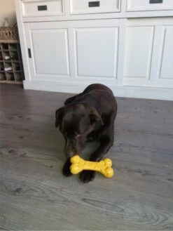 Nylabone Extreme Kauwbot Met Kaassmaak - Voor De Krachtigste Kauwers - Vulbaar Met Smeersels Zoals Pindakaas - XS/M/L - Large 15 Nylabone Extreme Kauwbot Met Kaassmaak - Voor De Krachtigste Kauwers - Vulbaar Met Smeersels Zoals Pindakaas - XS/M/L - Large -Hondenserie Winkel 900x1200 16