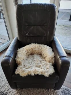 Kussen Voor Kat Of Kleine Hond | Fluffy Dierenkussen Van Pluche | Kat | Bank | Mand | Kattenmand | Kattendeken & Bankbeschermer Max. 15 Kg | Beige | Maat XS 11 Kussen Voor Kat Of Kleine Hond | Fluffy Dierenkussen Van Pluche | Kat | Bank | Mand | Kattenmand | Kattendeken & Bankbeschermer Max. 15 Kg | Beige | Maat XS -Hondenserie Winkel 900x1200