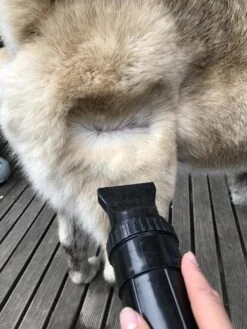 Waterblazer Hond - Hondendroger 14 Waterblazer Hond - Hondendroger -Hondenserie Winkel 900x1200 25