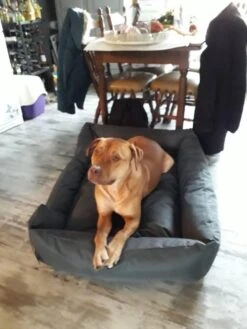 Hondenmand Cordura XXL – Zwart + Grijs - 100 X 75 X 23 Cm -Hondenserie Winkel 900x1200 3