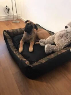 Hondenmand Cordura XXXL – Donkergrijs - 125 X 90 X 24 Cm -Hondenserie Winkel 900x1200 4