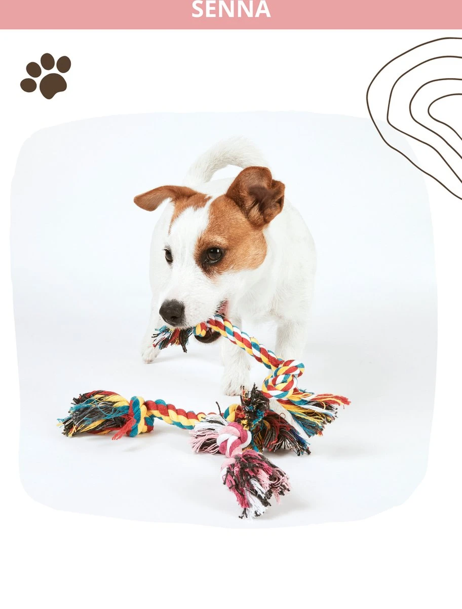 Speeltouw Hond - 3 Stuks - Speelgoed Hond - Flostouw - Hondenspeelgoed - Puppy - Trektouw 9 Speeltouw Hond - 3 Stuks - Speelgoed Hond - Flostouw - Hondenspeelgoed - Puppy - Trektouw - Afbeelding 7