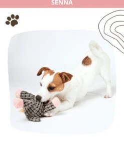 Honden Knuffel - Set Van 2 - Hondenspeelgoed Met Piep - Honden En Katten - Ezel En Giraf - Sellaio 19 Honden Knuffel - Set Van 2 - Hondenspeelgoed Met Piep - Honden En Katten - Ezel En Giraf - Sellaio -Hondenserie Winkel 912x1200 3