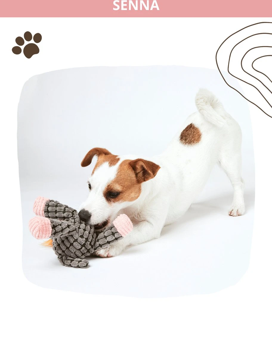 Honden Knuffel - Set Van 2 - Hondenspeelgoed Met Piep - Honden En Katten - Ezel En Giraf - Sellaio 7 Honden Knuffel - Set Van 2 - Hondenspeelgoed Met Piep - Honden En Katten - Ezel En Giraf - Sellaio - Afbeelding 5
