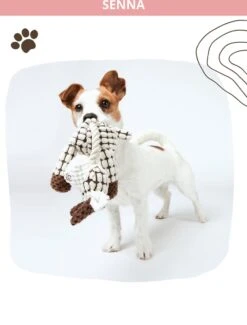 Honden Knuffel - Set Van 2 - Hondenspeelgoed Met Piep - Honden En Katten - Ezel En Giraf - Sellaio 21 Honden Knuffel - Set Van 2 - Hondenspeelgoed Met Piep - Honden En Katten - Ezel En Giraf - Sellaio -Hondenserie Winkel 912x1200 4