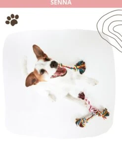 Speeltouw Hond - 3 Stuks - Speelgoed Hond - Flostouw - Hondenspeelgoed - Puppy - Trektouw 18 Speeltouw Hond - 3 Stuks - Speelgoed Hond - Flostouw - Hondenspeelgoed - Puppy - Trektouw -Hondenserie Winkel 912x1200 8