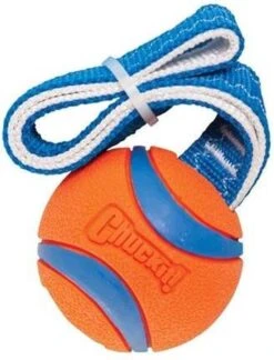 Chuckit! Chuckit Ultra Tug – Hondenspeelgoed - Blauw/Oranje – Large - ø 7 Cm -Hondenserie Winkel 914x1200 3