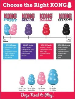 Kong Puppy - Hondenspeelgoed - Assorti - L 27 Kong Puppy - Hondenspeelgoed - Assorti - L -Hondenserie Winkel 917x1200