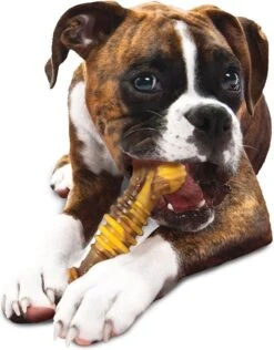 Nylabone Extreme Kauwbot Textuur Met Rund- En Kaassmaak -Hondenserie Winkel 937x1200 1