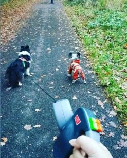 Wigzi Dual Doggie 2.0 Voor Twee Honden - Hondenriem - Grijs - 3m - <22 Kg (per Hond) 17 Wigzi Dual Doggie 2.0 Voor Twee Honden - Hondenriem - Grijs - 3m - <22 Kg (per Hond) -Hondenserie Winkel 960x1200 9