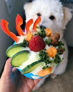 West Paw Toppl Zogoflex - Uitdagend En Sterk Speelgoed Voor Honden - Slowfeeder - Vulbaar Met Voer Of Snacks - Kleur: Groen, Maat: Large 29 West Paw Toppl Zogoflex - Uitdagend En Sterk Speelgoed Voor Honden - Slowfeeder - Vulbaar Met Voer Of Snacks - Kleur: Groen, Maat: Large -Hondenserie Winkel 962x1200 1