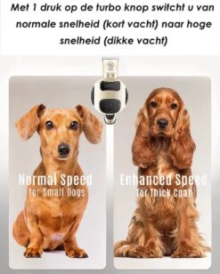 Joyage Professionele Hondentondeuse Voor Dikke Vacht – Honden Tondeuse & Hondentrimmer Tondeuse – Stille Tondeuse Katten & Honden Trimset Lang Haar – Trimmer Hond - Hondentondeuse Draadloos - Tondeuse Voor Honden - Tondeuse Hond Dikke Vacht -Hondenserie Winkel 962x1200 5