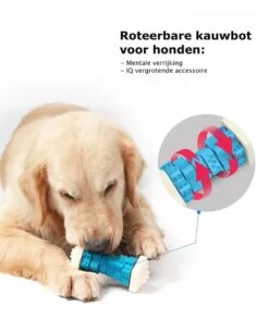 3-in-1 Hondenkauwbot - Gebitsverzorging - IQ Training - Voedsel Afgifte Functie - Geometrisch Ontwerp - Duurzaam & Milieuvriendelijk - Kauwbot - Honden - Hondenbot - Rood 12 3-in-1 Hondenkauwbot - Gebitsverzorging - IQ Training - Voedsel Afgifte Functie - Geometrisch Ontwerp - Duurzaam & Milieuvriendelijk - Kauwbot - Honden - Hondenbot - Rood -Hondenserie Winkel 972x1200 2