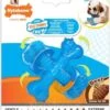 Nylabone Flexi Voor Honden Puppy Teething X Bone Beef Tot 11 Kg 1 Nylabone Flexi Voor Honden Puppy Teething X Bone Beef Tot 11 Kg -Hondenserie Winkel 972x1200 3